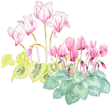 イラスト