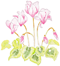 イラスト